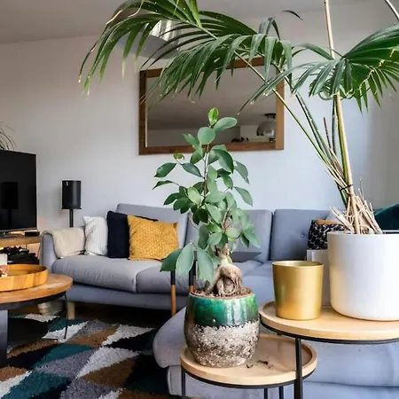 Spacious With Roofterrace By Vondelpark Apartment Amsterdam