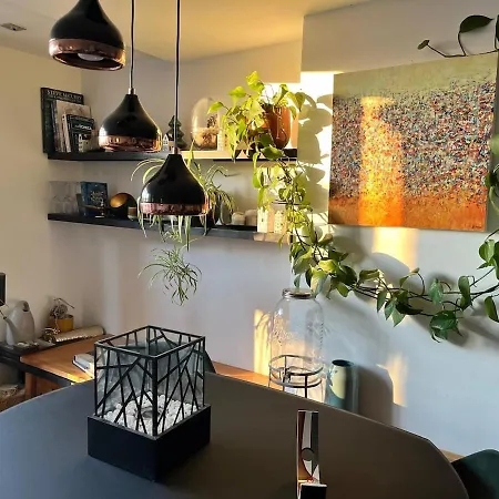 Spacious With Roofterrace By Vondelpark * Amsterdam
