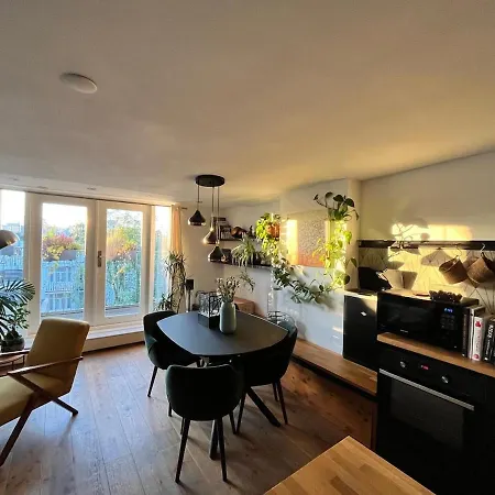 Spacious With Roofterrace By Vondelpark * Amsterdam