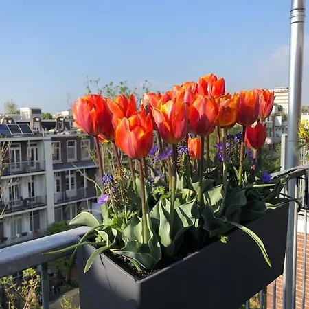 Spacious With Roofterrace By Vondelpark Apartamento
